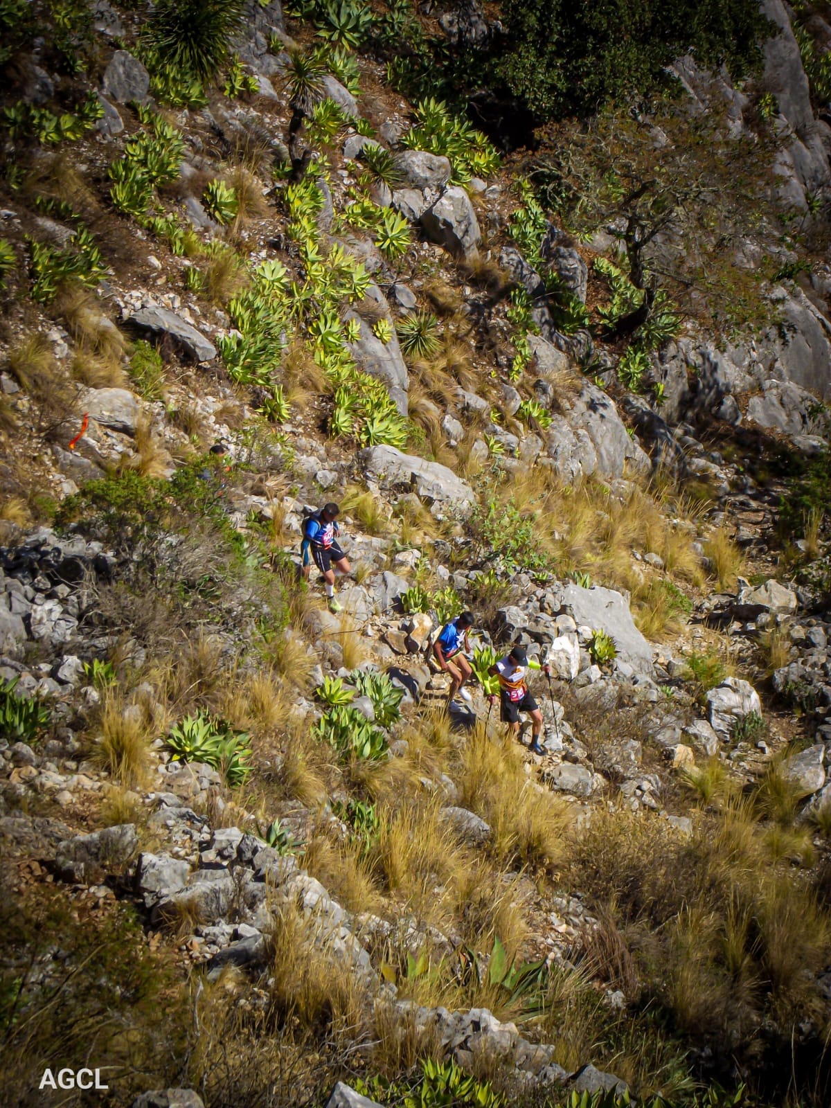 TRAIL RUN EL DOCTOR, CADEREYTA, QRO.